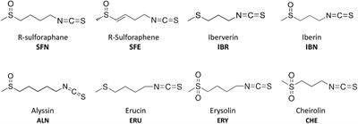 Induction of the Stringent Response Underlies the Antimicrobial Action of Aliphatic Isothiocyanates